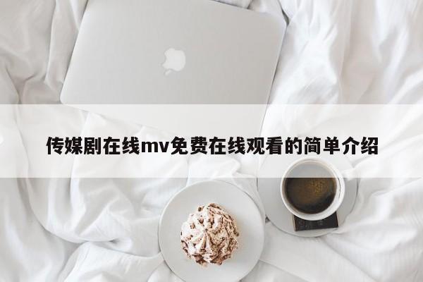 传媒剧在线mv免费在线观看的简单介绍