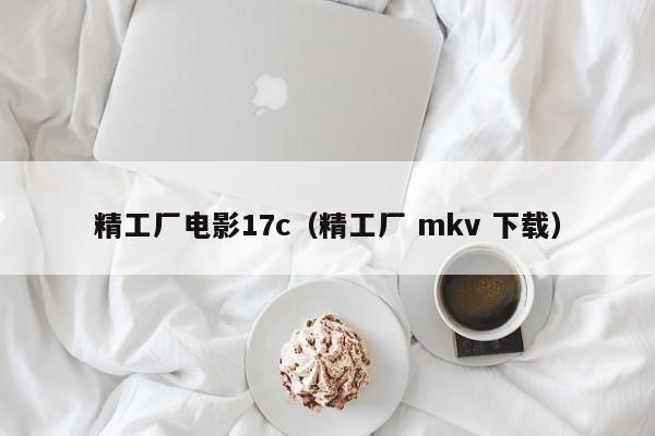 精工厂电影17c（精工厂 mkv 下载）