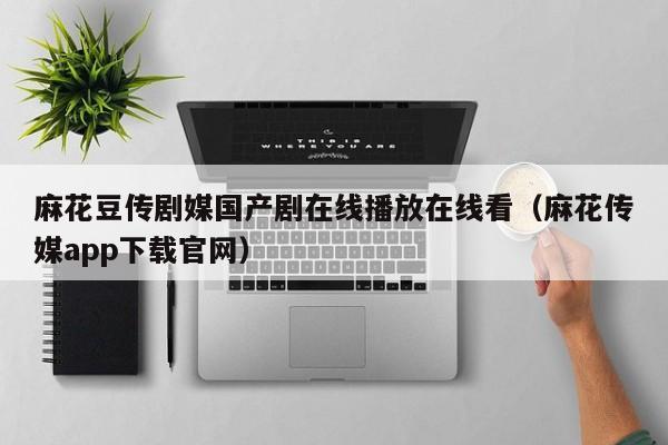 麻花豆传剧媒国产剧在线播放在线看（麻花传媒app下载官网）
